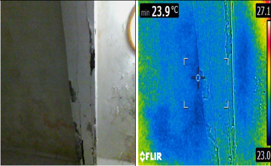 Extreme Ceiling Dampness